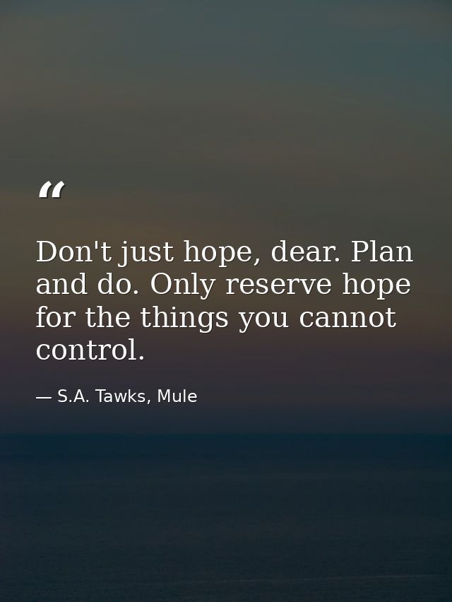 Don't just hope, dear. Plan and do. Only reserve hope for the things you cannot control. — S.A. Tawks, Mule