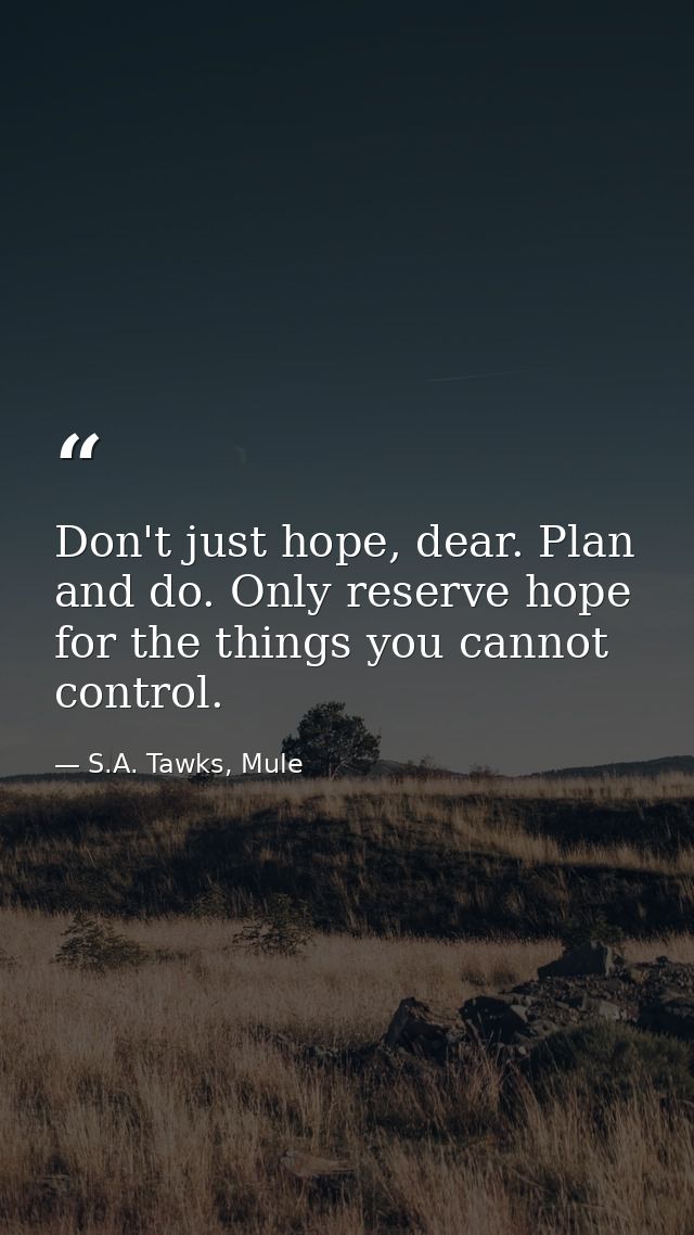 Don't just hope, dear. Plan and do. Only reserve hope for the things you cannot control. — S.A. Tawks, Mule