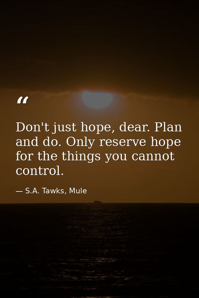 Don't just hope, dear. Plan and do. Only reserve hope for the things you cannot control. — S.A. Tawks, Mule