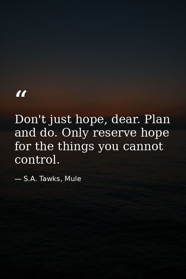 Don't just hope, dear. Plan and do. Only reserve hope for the things you cannot control. — S.A. Tawks, Mule