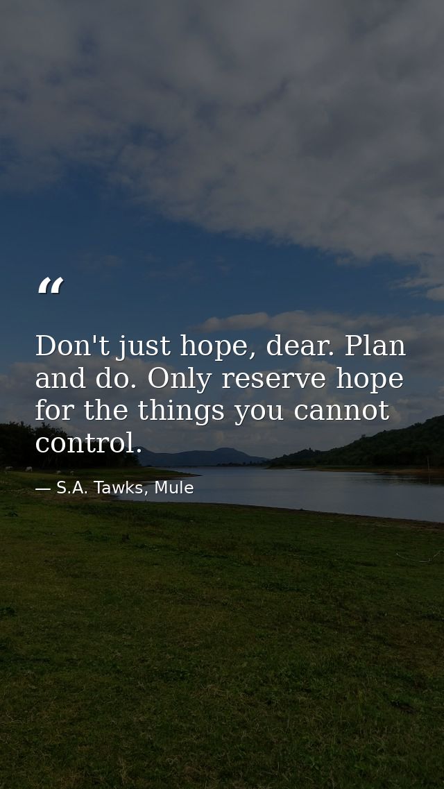 Don't just hope, dear. Plan and do. Only reserve hope for the things you cannot control. — S.A. Tawks, Mule
