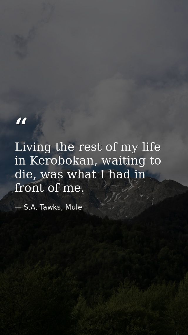 Living the rest of my life in Kerobokan, waiting to die, was what I had in front of me. — S.A. Tawks, Mule