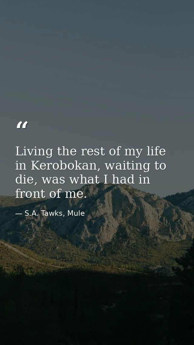 Living the rest of my life in Kerobokan, waiting to die, was what I had in front of me. — S.A. Tawks, Mule