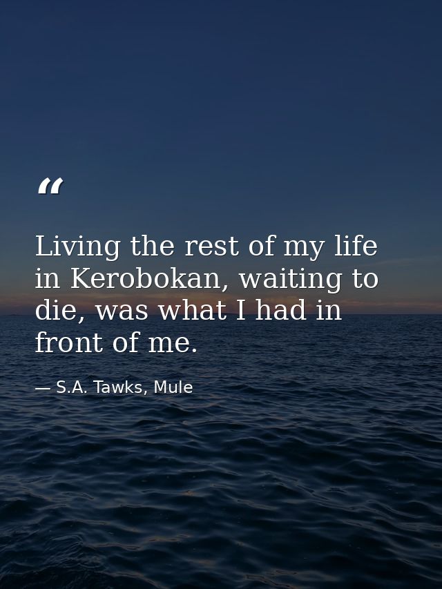 Living the rest of my life in Kerobokan, waiting to die, was what I had in front of me. — S.A. Tawks, Mule