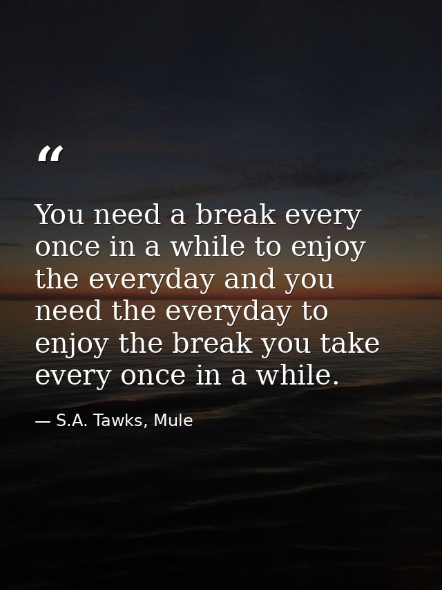 You need a break every once in a while to enjoy the everyday and you need the everyday to enjoy the break you take every — S.A. Tawks, Mule