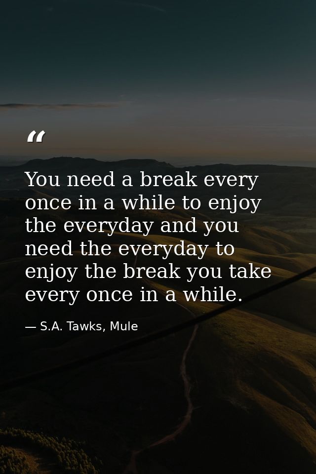 You need a break every once in a while to enjoy the everyday and you need the everyday to enjoy the break you take every — S.A. Tawks, Mule