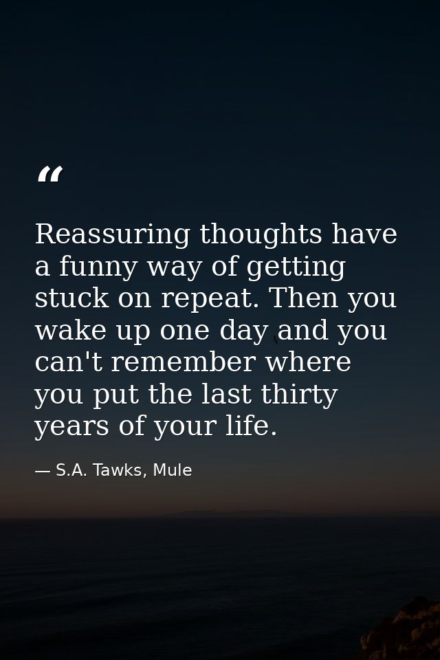 Reassuring thoughts have a funny way of getting stuck on repeat. Then you wake up one day and you can't remember where y — S.A. Tawks, Mule