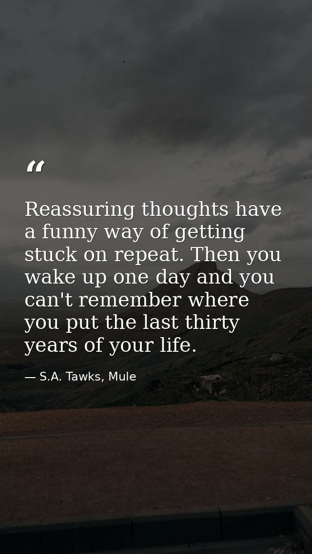 Reassuring thoughts have a funny way of getting stuck on repeat. Then you wake up one day and you can't remember where y — S.A. Tawks, Mule