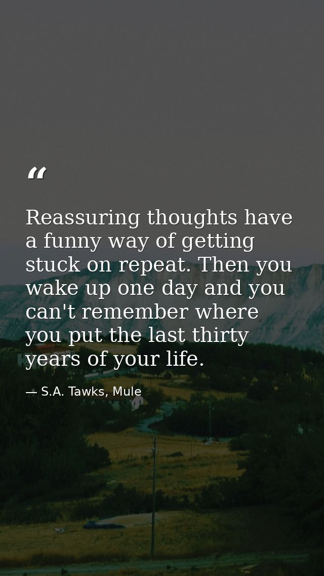 Reassuring thoughts have a funny way of getting stuck on repeat. Then you wake up one day and you can't remember where y — S.A. Tawks, Mule