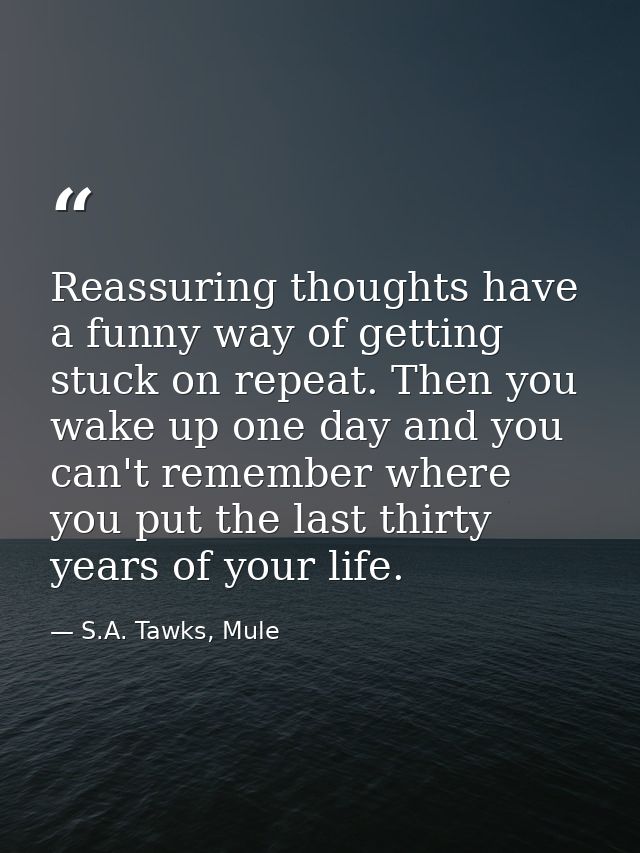 Reassuring thoughts have a funny way of getting stuck on repeat. Then you wake up one day and you can't remember where y — S.A. Tawks, Mule