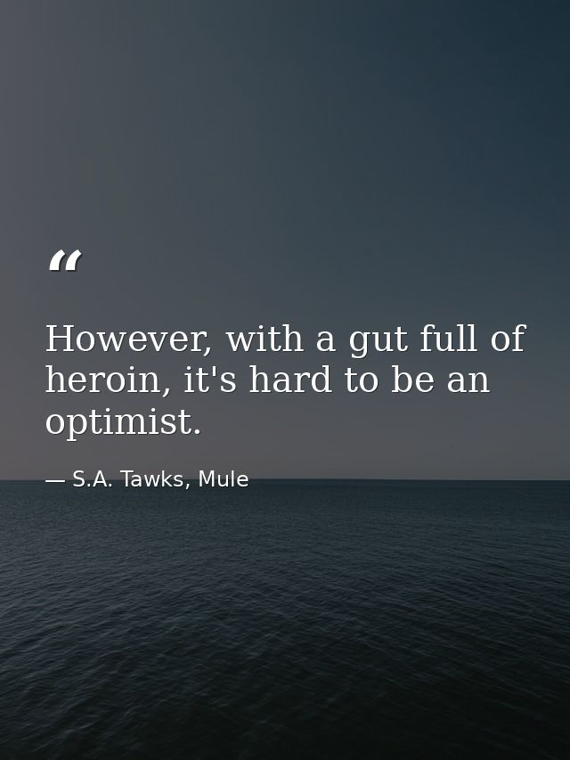 However, with a gut full of heroin, it's hard to be an optimist. — S.A. Tawks, Mule