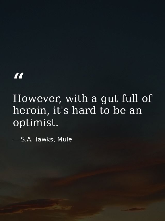 However, with a gut full of heroin, it's hard to be an optimist. — S.A. Tawks, Mule