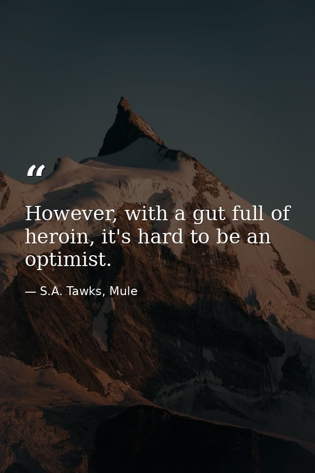 However, with a gut full of heroin, it's hard to be an optimist. — S.A. Tawks, Mule