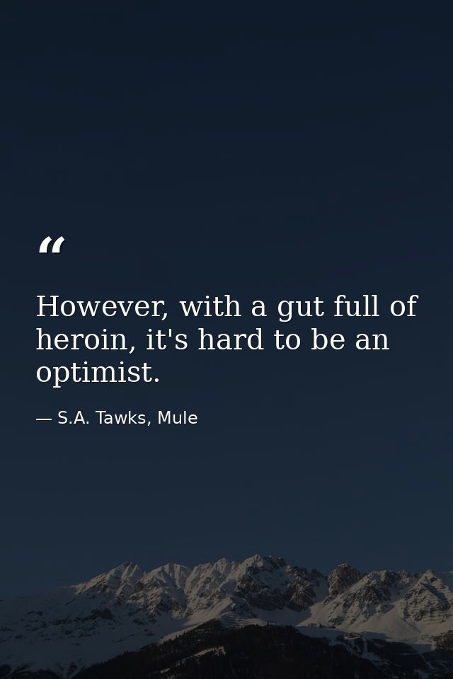 However, with a gut full of heroin, it's hard to be an optimist. — S.A. Tawks, Mule