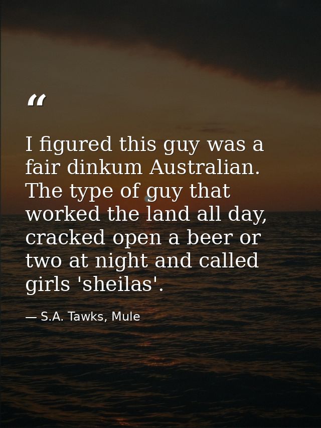 I figured this guy was a fair dinkum Australian. The type of guy that worked the land all day, cracked open a beer or tw — S.A. Tawks, Mule