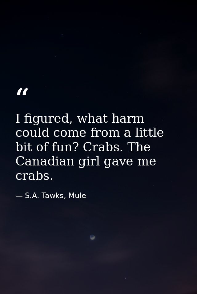 I figured, what harm could come from a little bit of fun? Crabs. The Canadian girl gave me crabs. — S.A. Tawks, Mule