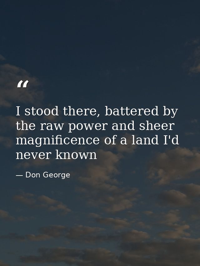 I stood there, battered by the raw power and sheer magnificence of a land I'd never known — Don George