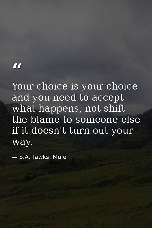 Your choice is your choice and you need to accept what happens, not shift the blame to someone else if it doesn't turn o — S.A. Tawks, Mule