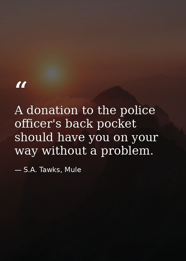 A donation to the police officer's back pocket should have you on your way without a problem. — S.A. Tawks, Mule