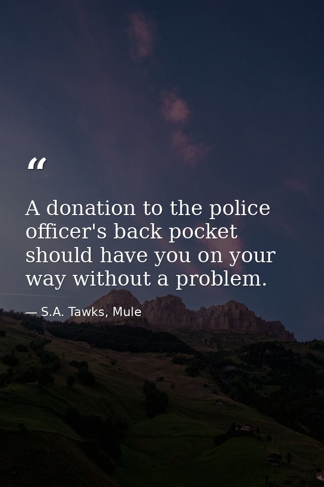 A donation to the police officer's back pocket should have you on your way without a problem. — S.A. Tawks, Mule