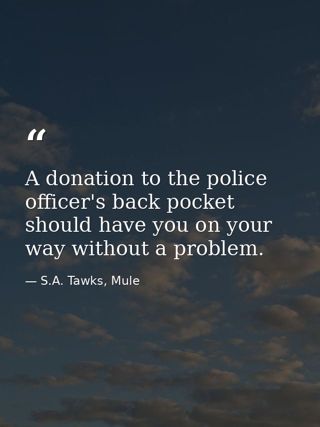 A donation to the police officer's back pocket should have you on your way without a problem. — S.A. Tawks, Mule