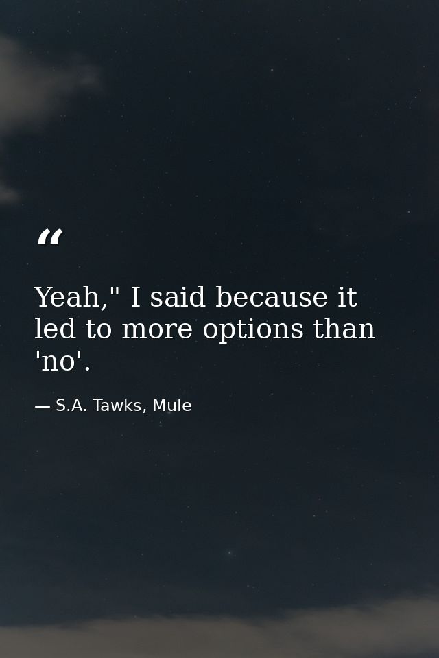 Yeah," I said because it led to more options than 'no'. — S.A. Tawks, Mule