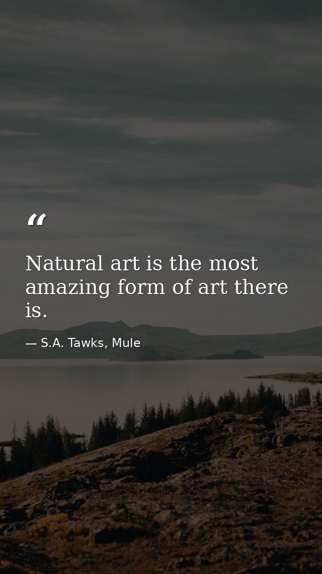 Natural art is the most amazing form of art there is. — S.A. Tawks, Mule