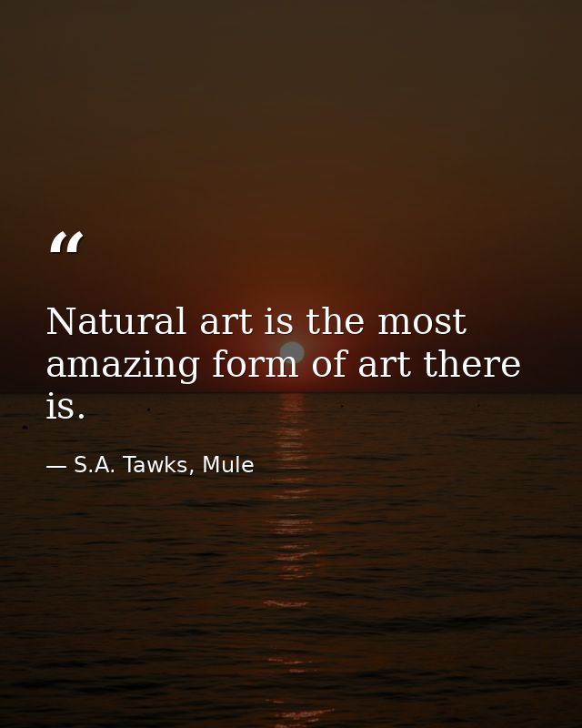 Natural art is the most amazing form of art there is. — S.A. Tawks, Mule