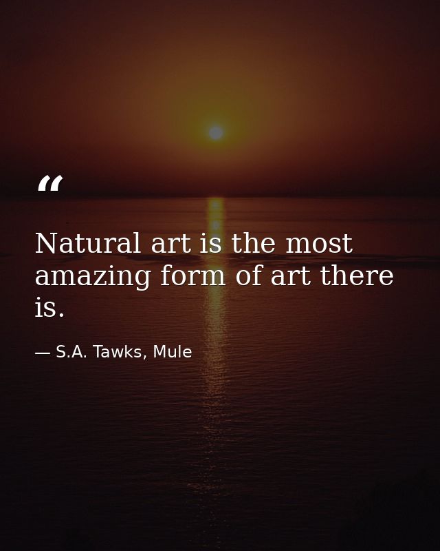 Natural art is the most amazing form of art there is. — S.A. Tawks, Mule