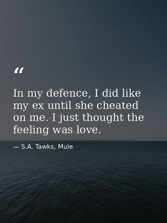 In my defence, I did like my ex until she cheated on me. I just thought the feeling was love. — S.A. Tawks, Mule