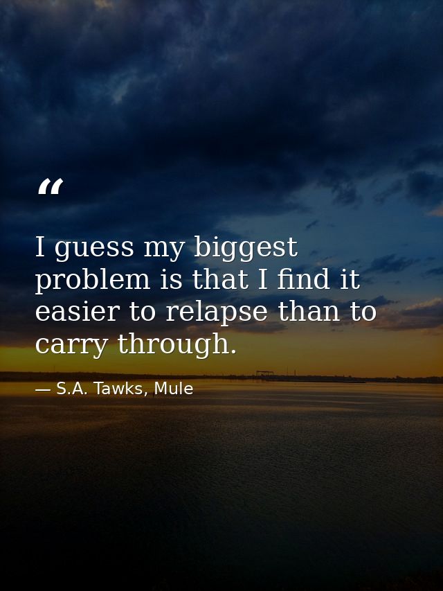 I guess my biggest problem is that I find it easier to relapse than to carry through. — S.A. Tawks, Mule