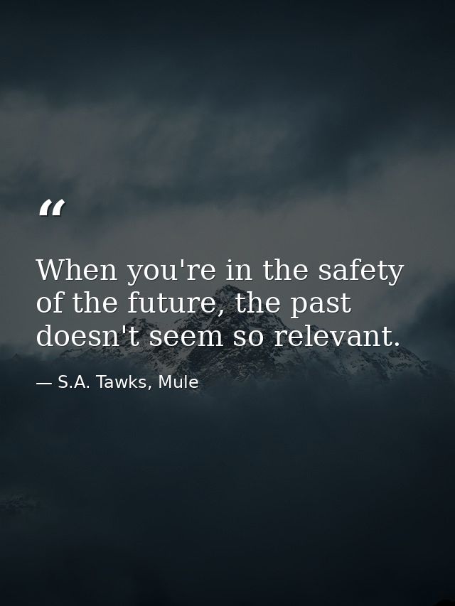 When you're in the safety of the future, the past doesn't seem so relevant. — S.A. Tawks, Mule