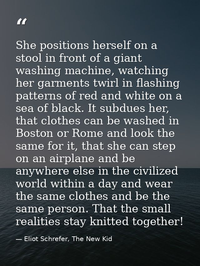 She positions herself on a stool in front of a giant washing machine, watching her garments twirl in flashing patterns o — Eliot Schrefer, The New Kid
