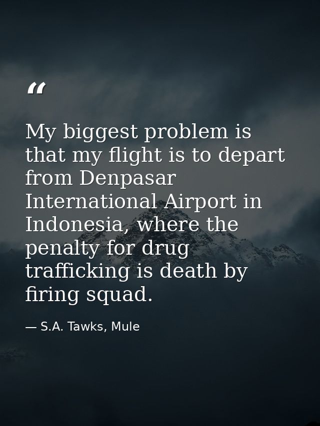 My biggest problem is that my flight is to depart from Denpasar International Airport in Indonesia, where the penalty fo — S.A. Tawks, Mule