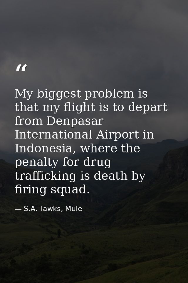 My biggest problem is that my flight is to depart from Denpasar International Airport in Indonesia, where the penalty fo — S.A. Tawks, Mule
