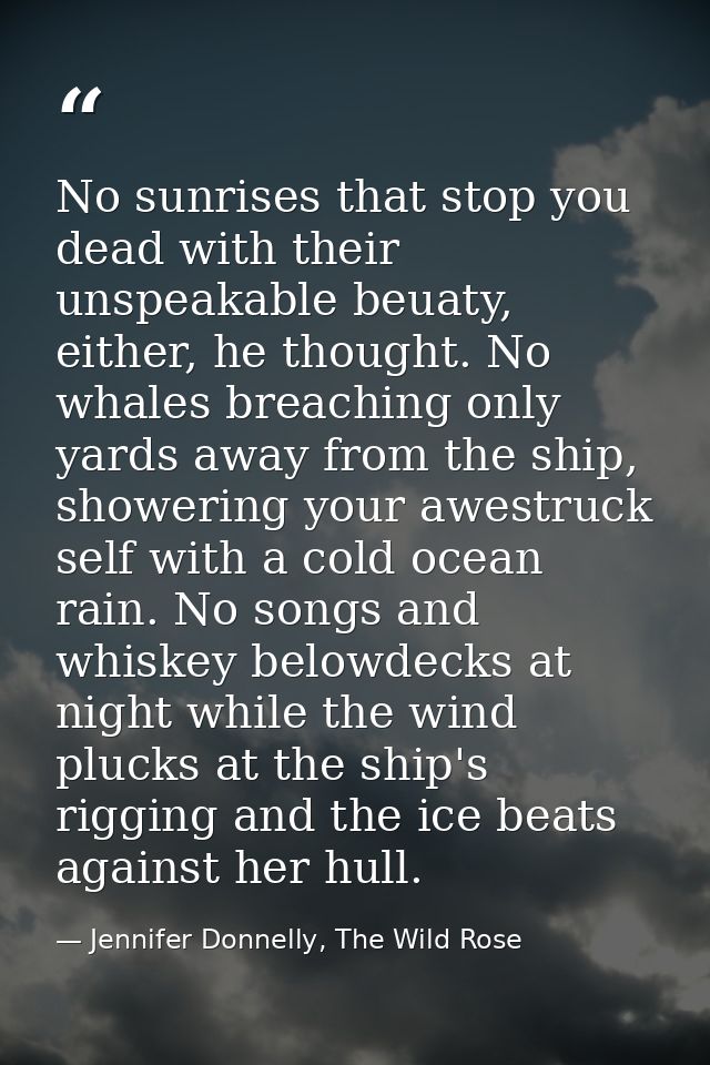 No sunrises that stop you dead with their unspeakable beuaty, either, he thought. No whales breaching only yards away fr — Jennifer Donnelly, The Wild Rose