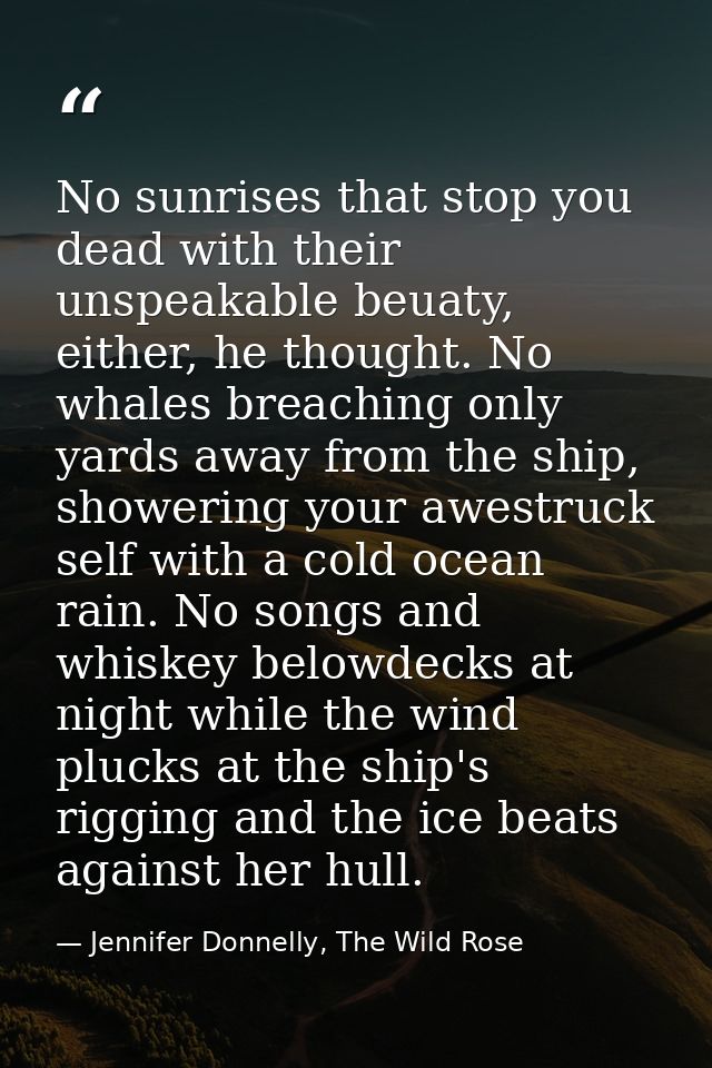 No sunrises that stop you dead with their unspeakable beuaty, either, he thought. No whales breaching only yards away fr — Jennifer Donnelly, The Wild Rose