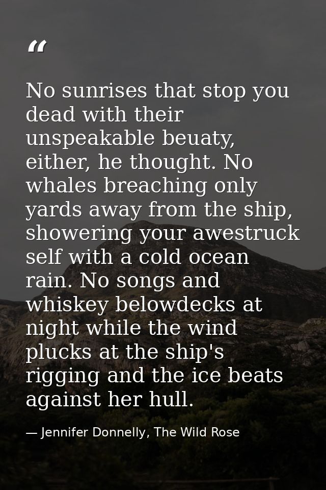 No sunrises that stop you dead with their unspeakable beuaty, either, he thought. No whales breaching only yards away fr — Jennifer Donnelly, The Wild Rose