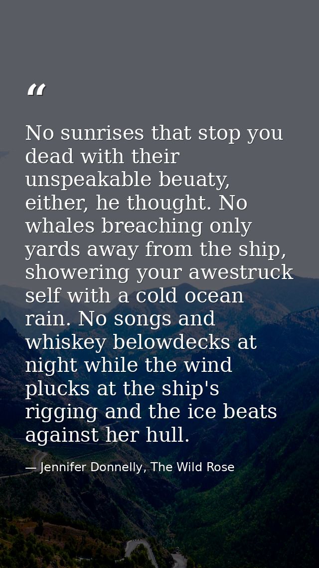 No sunrises that stop you dead with their unspeakable beuaty, either, he thought. No whales breaching only yards away fr — Jennifer Donnelly, The Wild Rose