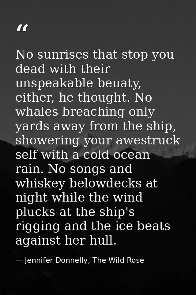 No sunrises that stop you dead with their unspeakable beuaty, either, he thought. No whales breaching only yards away fr — Jennifer Donnelly, The Wild Rose