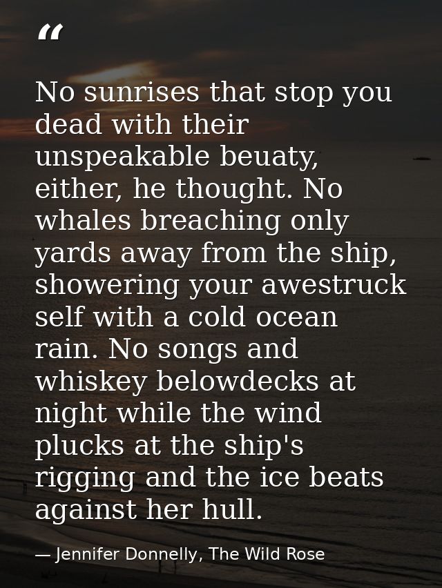 No sunrises that stop you dead with their unspeakable beuaty, either, he thought. No whales breaching only yards away fr — Jennifer Donnelly, The Wild Rose