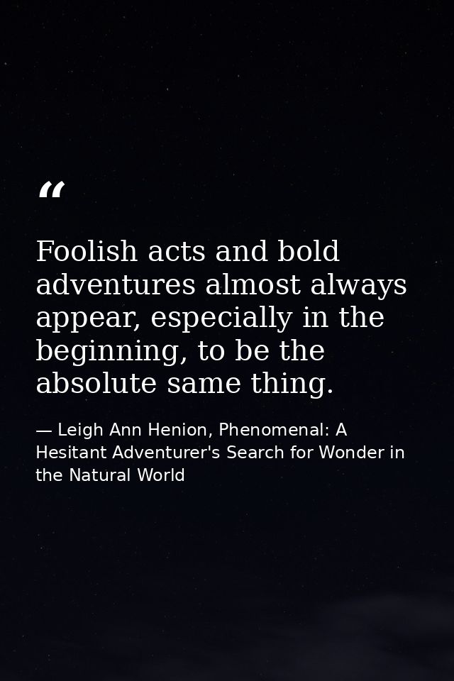 Foolish acts and bold adventures almost always appear, especially in the beginning, to be the absolute same thing. — Leigh Ann Henion, Phenomenal: A Hesitant Adventurer's Search for Wonder in the Natural World