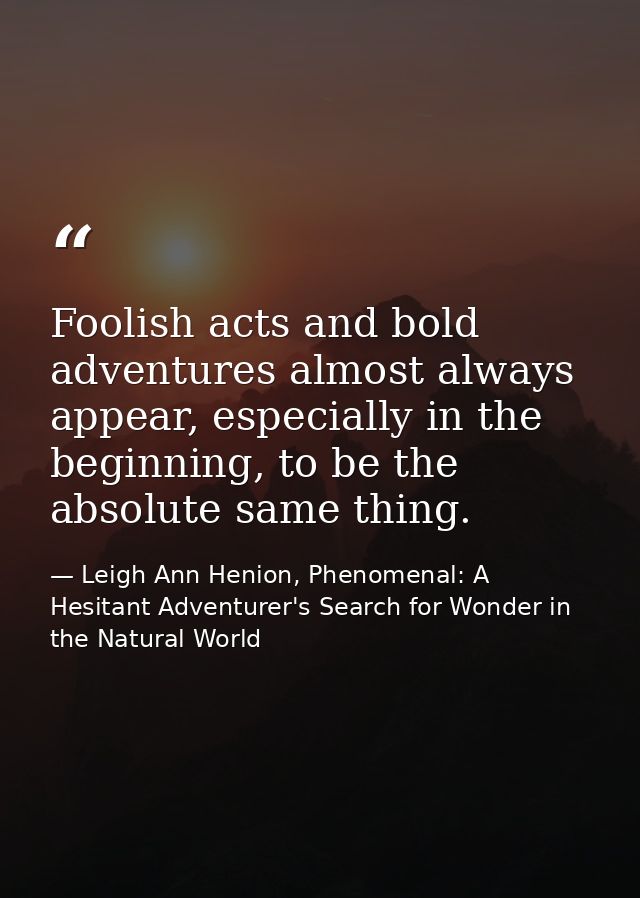 Foolish acts and bold adventures almost always appear, especially in the beginning, to be the absolute same thing. — Leigh Ann Henion, Phenomenal: A Hesitant Adventurer's Search for Wonder in the Natural World
