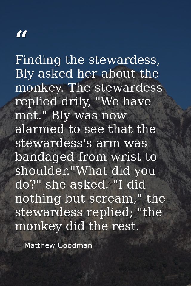 Finding the stewardess, Bly asked her about the monkey. The stewardess replied drily, "We have met." Bly was now alarmed — Matthew Goodman