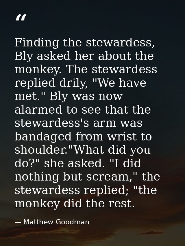 Finding the stewardess, Bly asked her about the monkey. The stewardess replied drily, "We have met." Bly was now alarmed — Matthew Goodman