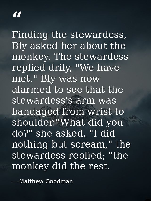 Finding the stewardess, Bly asked her about the monkey. The stewardess replied drily, "We have met." Bly was now alarmed — Matthew Goodman