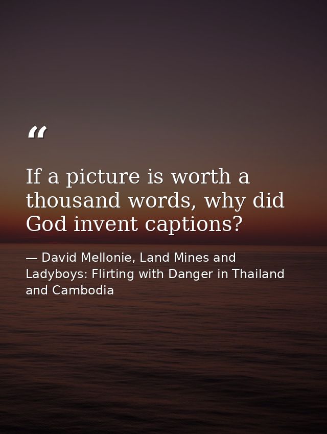 If a picture is worth a thousand words, why did God invent captions? — David Mellonie, Land Mines and Ladyboys: Flirting with Danger in Thailand and Cambodia