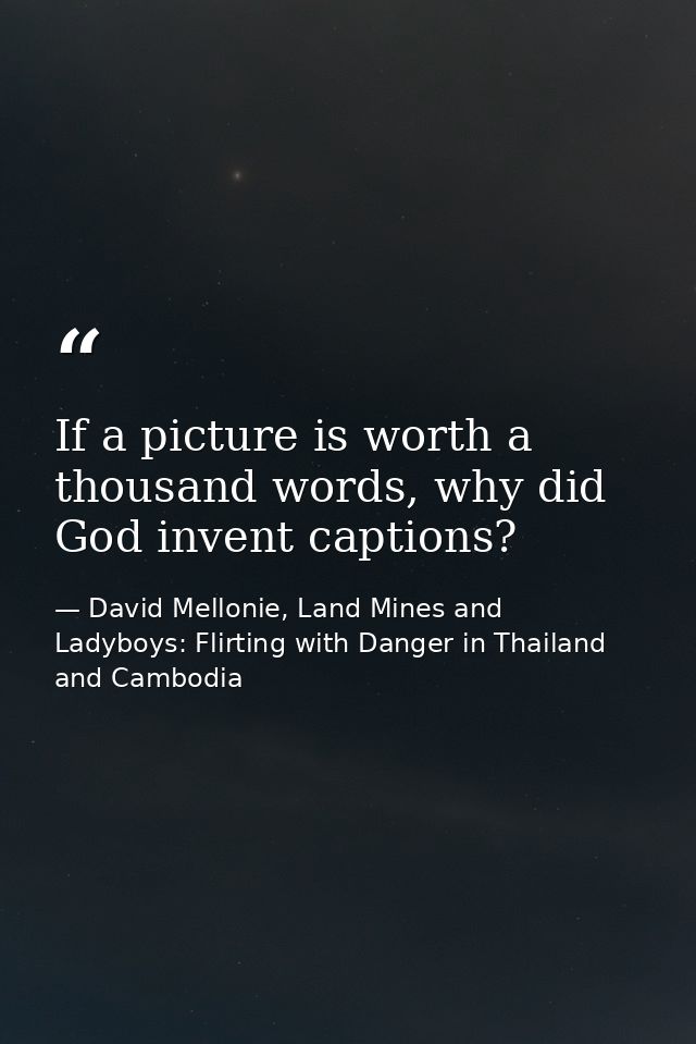 If a picture is worth a thousand words, why did God invent captions? — David Mellonie, Land Mines and Ladyboys: Flirting with Danger in Thailand and Cambodia