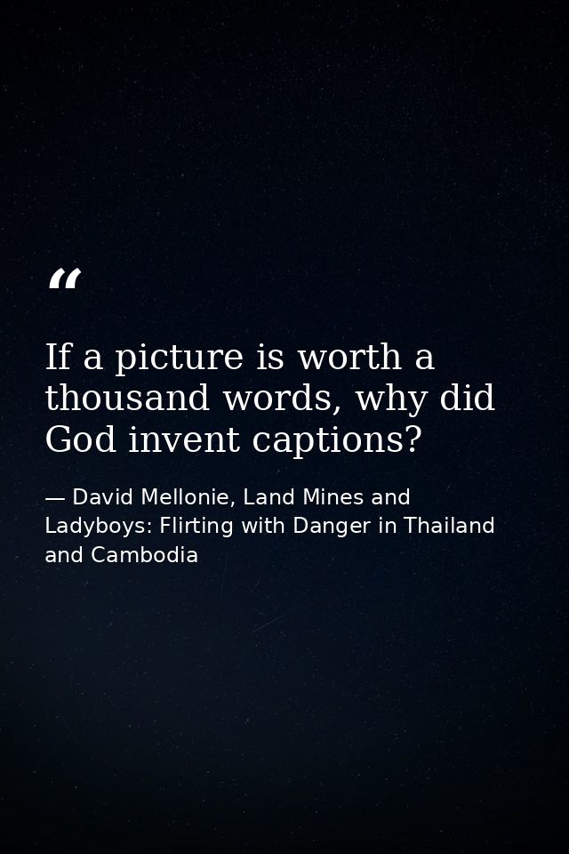 If a picture is worth a thousand words, why did God invent captions? — David Mellonie, Land Mines and Ladyboys: Flirting with Danger in Thailand and Cambodia