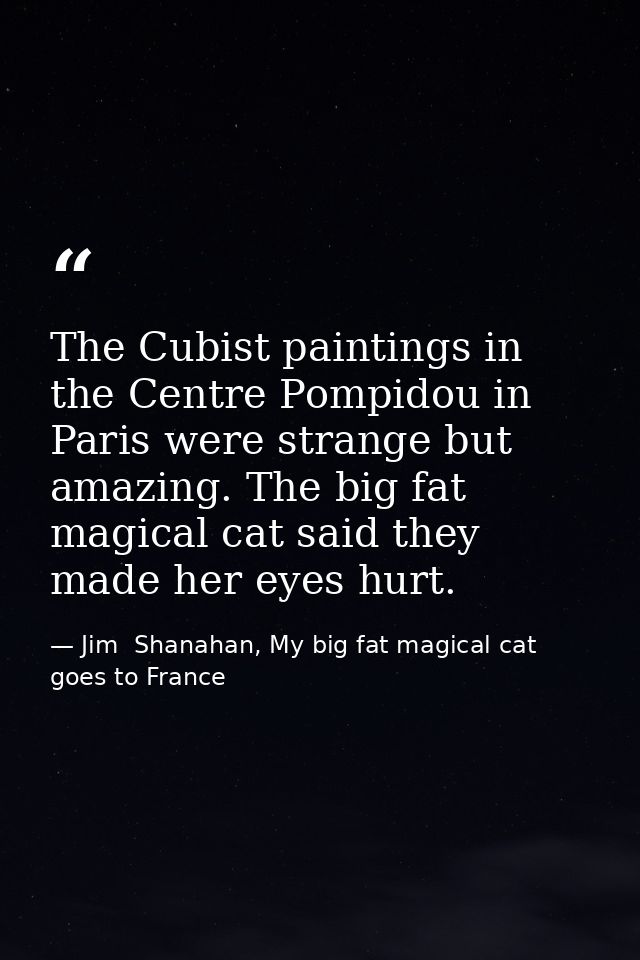 The Cubist paintings in the Centre Pompidou in Paris were strange but amazing. The big fat magical cat said they made he — Jim  Shanahan, My big fat magical cat goes to France